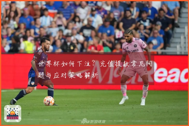 世界杯如何下注？充值提款常见问题与应对策略解析