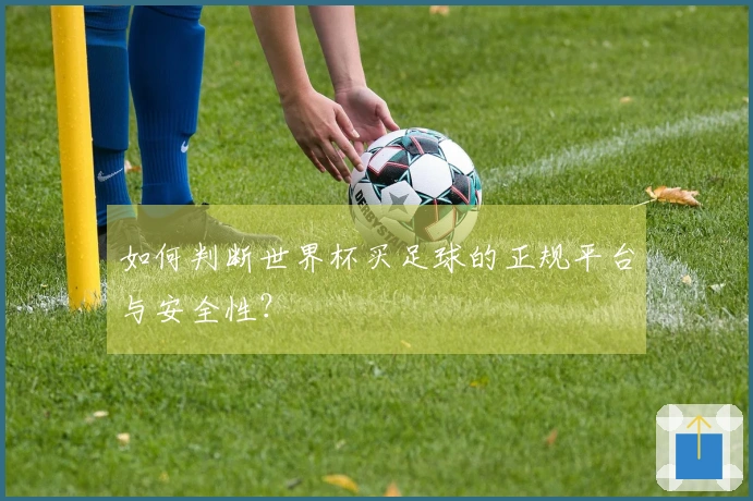 如何判断世界杯买足球的正规平台与安全性？