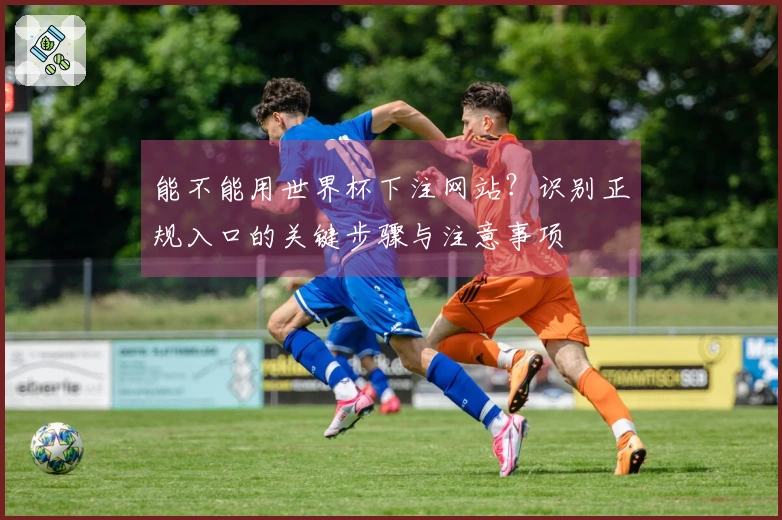 能不能用世界杯下注网站？识别正规入口的关键步骤与注意事项