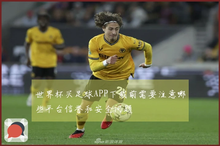 世界杯买足球APP下载前需要注意哪些平台信誉和安全问题