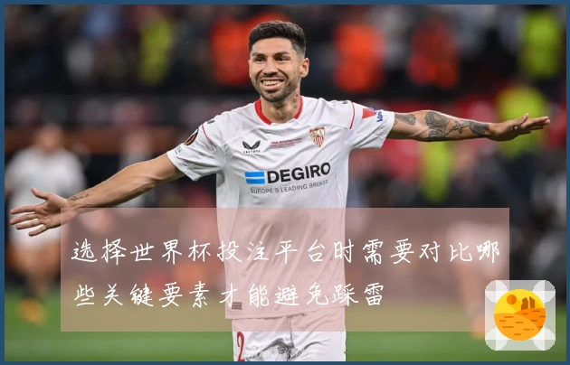 选择世界杯投注平台时需要对比哪些关键要素才能避免踩雷