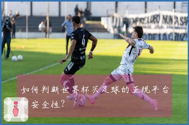 如何判断世界杯买足球的正规平台与安全性？