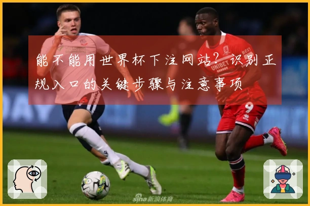 能不能用世界杯下注网站？识别正规入口的关键步骤与注意事项