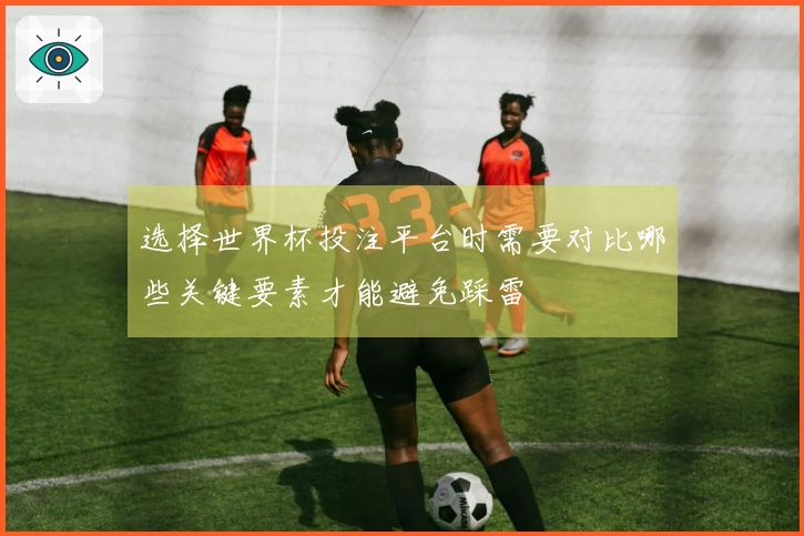 选择世界杯投注平台时需要对比哪些关键要素才能避免踩雷