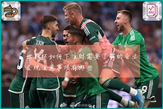 世界杯如何下注时需要了解的合法合规注意事项有哪些